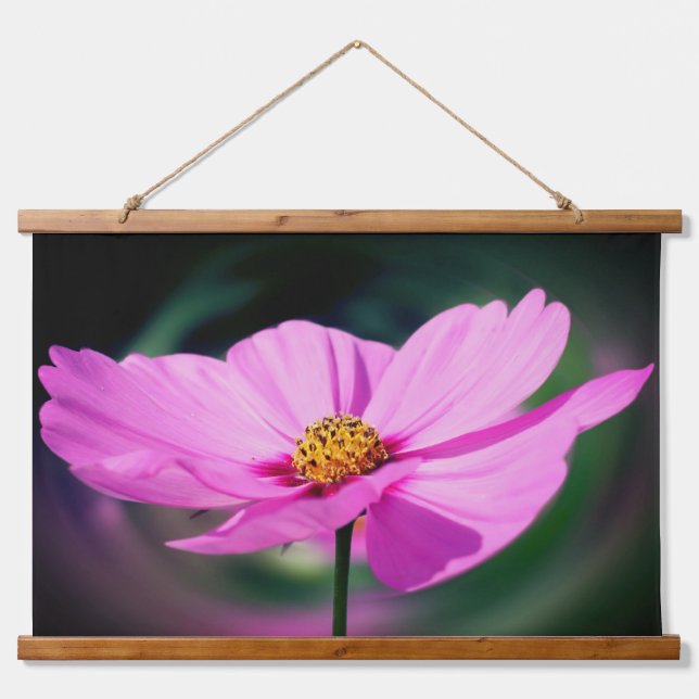 Single Pink Cosmos Blume Wandteppich Mit Holzrahmen (Vorne)