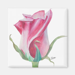 Single Pink Rose Magnet
