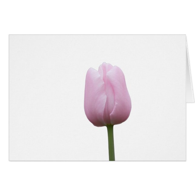 Single Pink Tulip Bud mit Gedicht (Vorderseite (Horizontal))