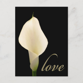 Single Postkarte
