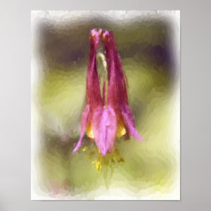 Single Red Columbine Blumen Art Poster