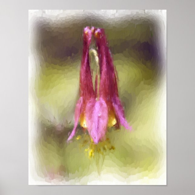Single Red Columbine Blumen Art Poster (Vorne)