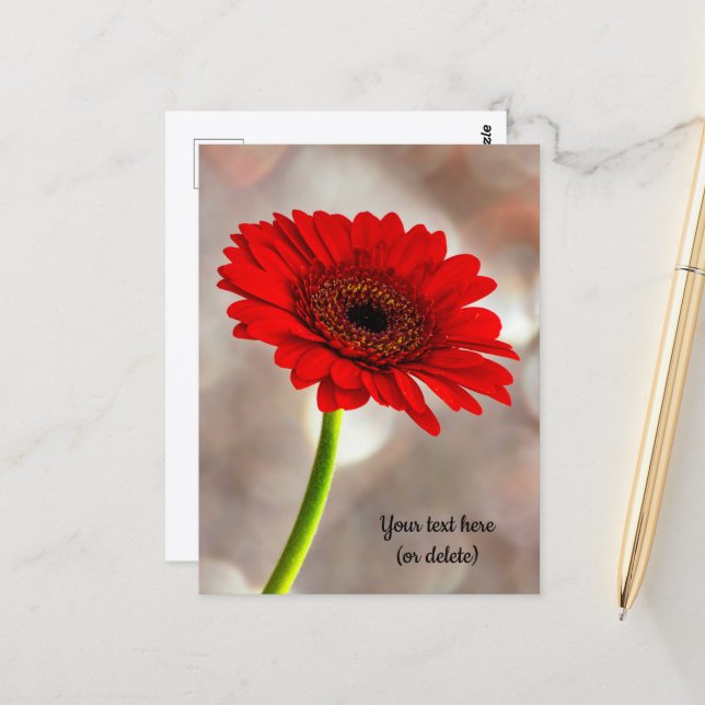 Single Red Gerbera Postcard Postkarte (Vorderseite/Rückseite Beispiel)