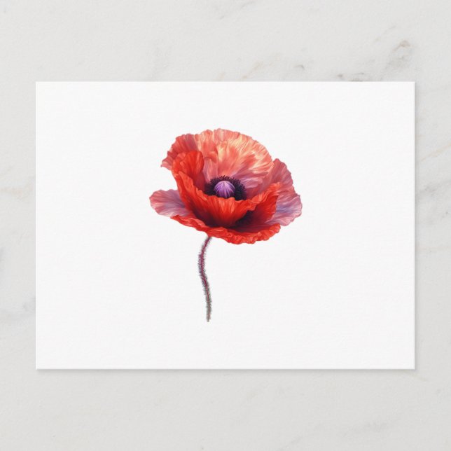 Single Red Poppy Blume Postkarte (Vorderseite)