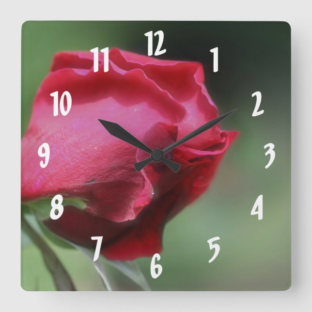 Single Red Rosenknospe Blumen Quadratische Wanduhr (Vorderseite)