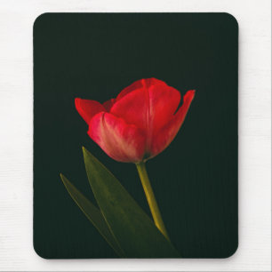 Single Red Tulip Mousepad