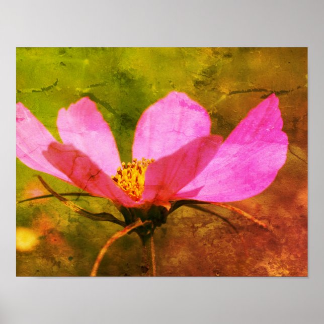 Single Rosa Kosmos Blume gestörte Kunst Poster (Vorne)