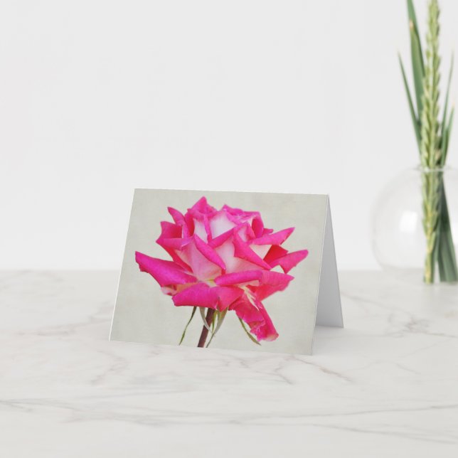 Single Rosa Rose von Gertie's Garden Note Card Karte (Vorderseite)