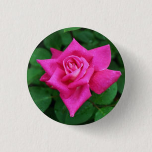 Single Rosa Rundtaste Button