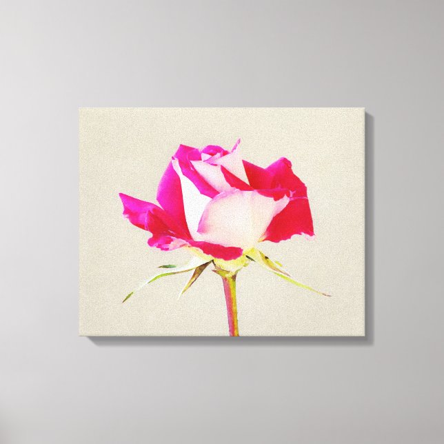 Single Rose Fotografie Leinwanddruck (Vorderseite)