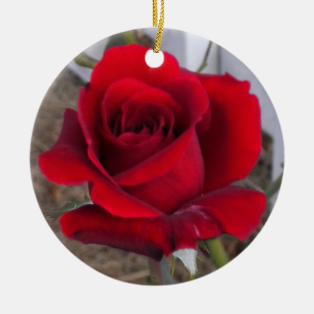 Single-Rosen-Verzierung Keramikornament (Vorne)