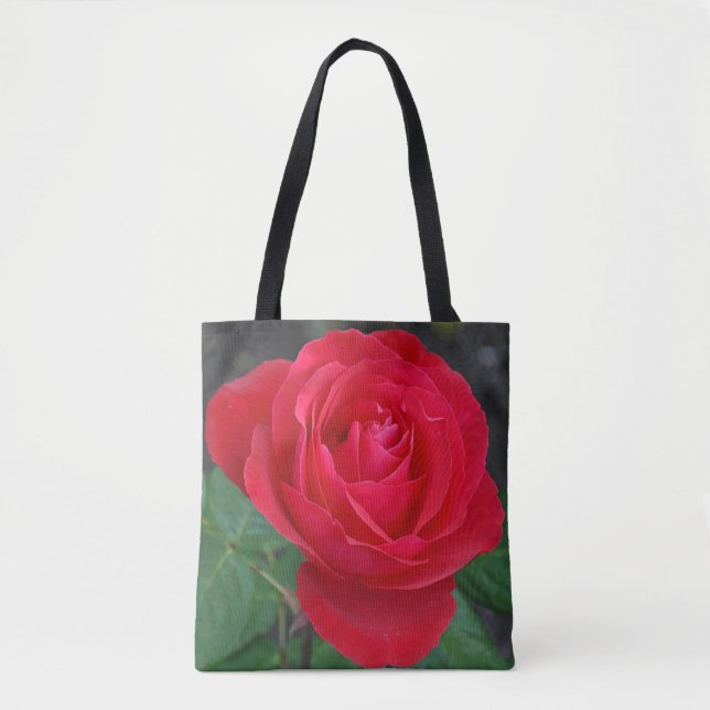 Single rote Rose (Vorderseite)