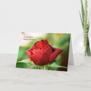 Single Rote Rose auf meine Schwester Happy Birthda Karte
