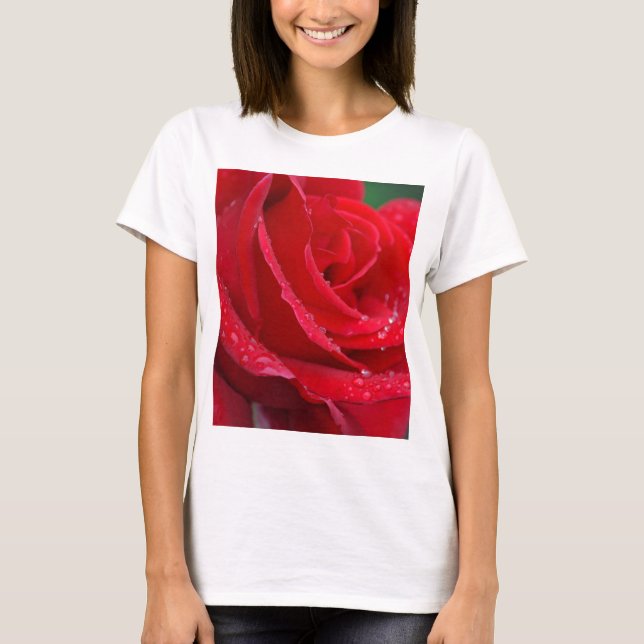 Single rote Rose blüht T-Shirt (Vorderseite)