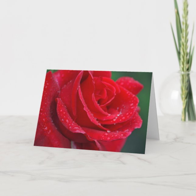 Single-rote Rose-Grußkarte Karte (Vorderseite)
