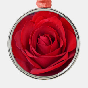 Single rote Rose in voller Blüte Ornament Aus Metall