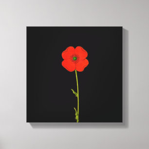 Single Roter Mohn Blume auf der Leinwand