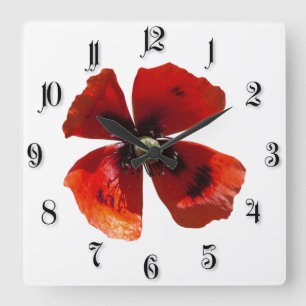 Single Roter Mohn Blume Quadratische Wanduhr