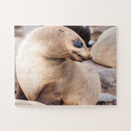 Single Siegel in Collony Puzzle