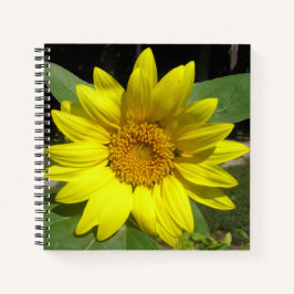 Single Sonnenblume Notizbuch