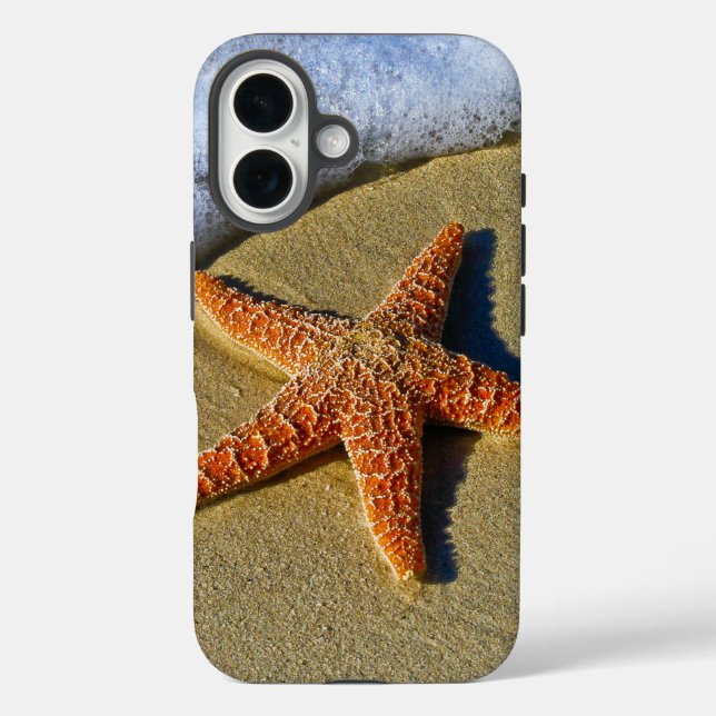 Single Starfish am Strand Case-Mate iPhone Hülle (Rückseite)
