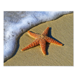 Single Starfish am Strand Fotodruck