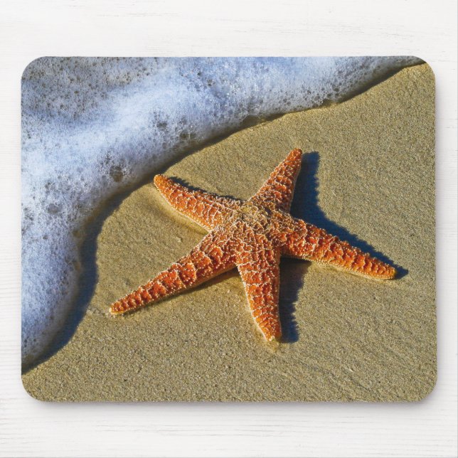 Single Starfish am Strand Mousepad (Vorne)