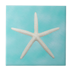 Single Starfish auf Aqua Blue Fliese