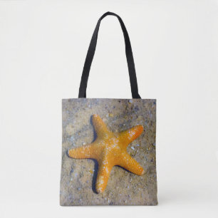 Single Starfish im Sand