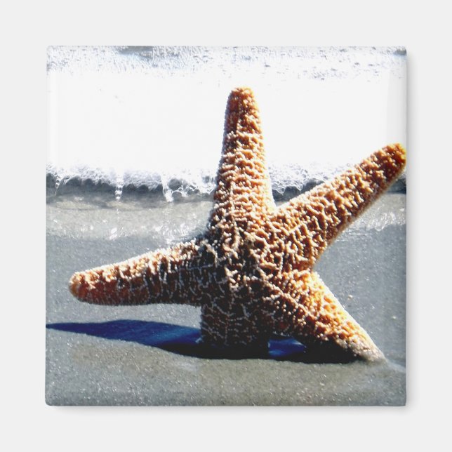 Single Starfish Washed Ashore Magnet (Vorne)