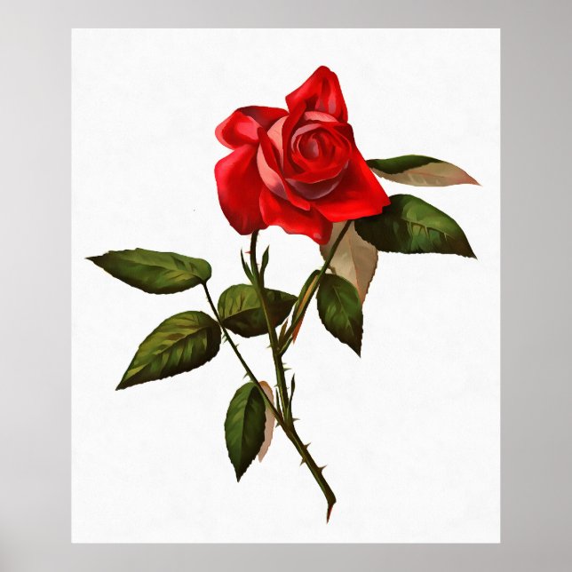 Single Stem Rote Rose Poster (Vorne)