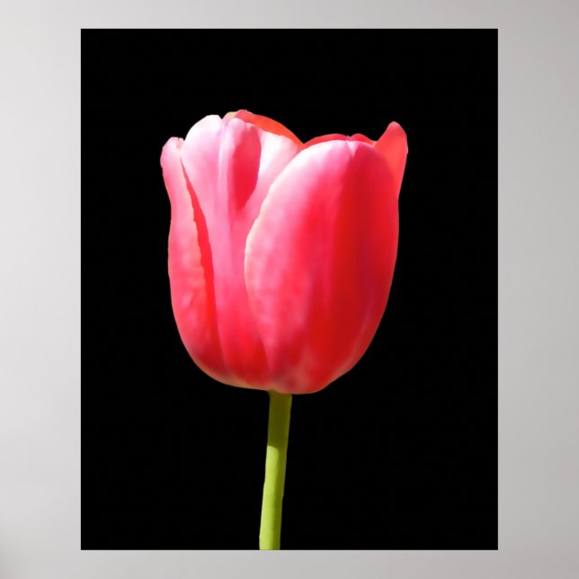 Single Stem Tulip Gemälde Poster (Vorne)
