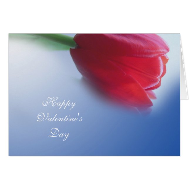 Single Tulpe Blume (Vorderseite (Horizontal))