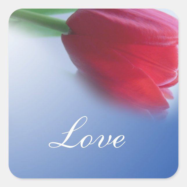 Single Tulpe Blume Quadratischer Aufkleber (Vorderseite)