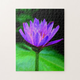 Single-Wasser-Lilie Puzzle