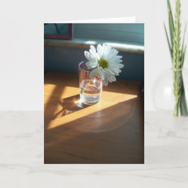 Single weiß dunkel an sonniger Stelle auf einer le Karte