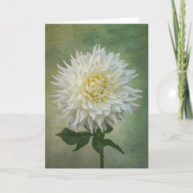 Single-weiße Blume Karte (Vorderseite)