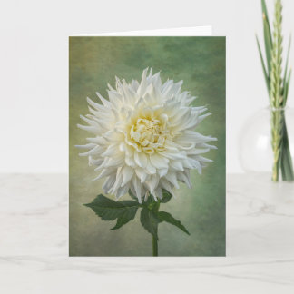 Single-weiße Blume Karte