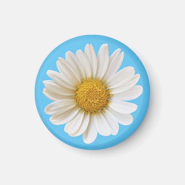 Single White Daisy auf Sky Blue Magnet (Vorne)