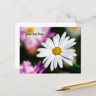 Single White Daisy Postcard Postkarte