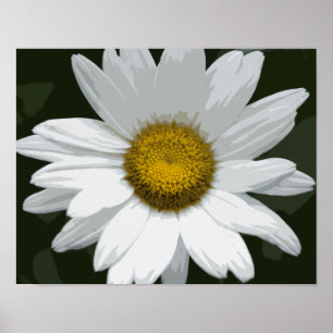 Single White Daisy Poster