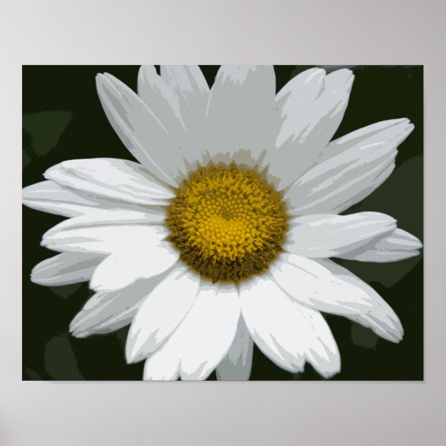 Single White Daisy Poster (Vorne)