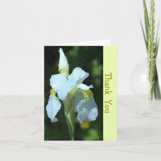 SINGLE WHITE IRIS MIT RAINDROPS KARTE (Vorderseite)
