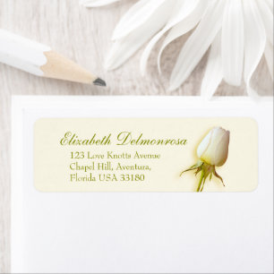 Single White Rose Bud Hochzeitstitel