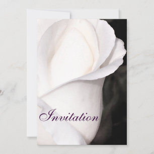 Single White Rose_ Einladung