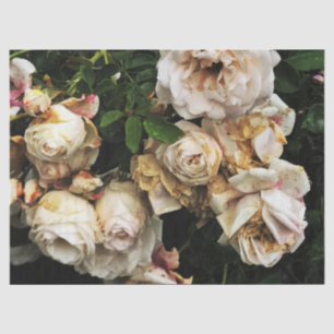 Single White Rose Seidenpapier