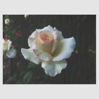 Single White Rose Seidenpapier