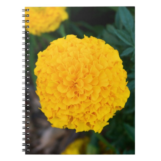 Single Yellow Marigold Notebook Notizblock (Vorderseite)