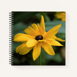 Single Yellow Rudbeckia Blume Notizbuch