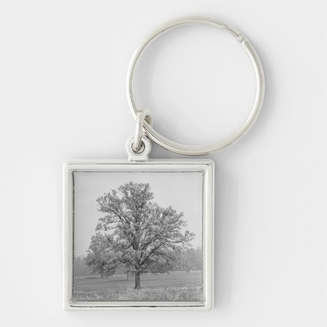 Singlebaum auf dem Gebiet B&W Schlüsselanhänger (Vorne)